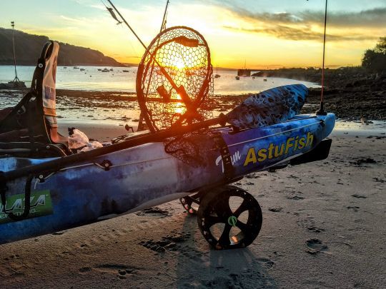 Le chariot de portage