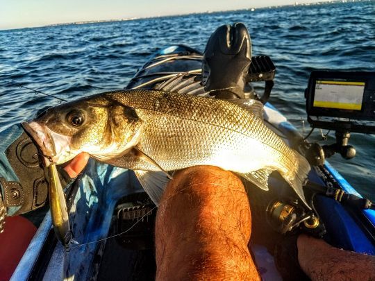 De nombreux équipements pour pêcher facilement