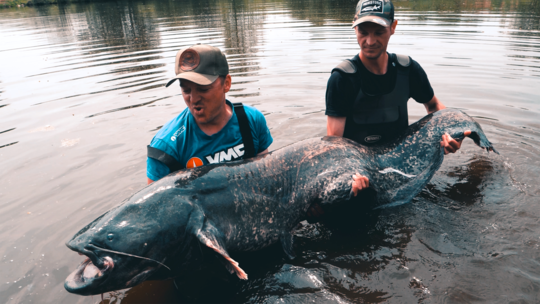 La plus-value apportée par un guide de pêche