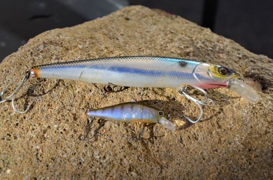 Un jerkbait minnow pour pêcher le brochet et un pour la truite