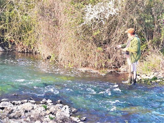 Savoir repérer et pêcher les postes à chevesnes
