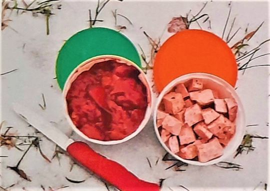 Le foie de volaille et la viande en boite sont d'excellents appâts