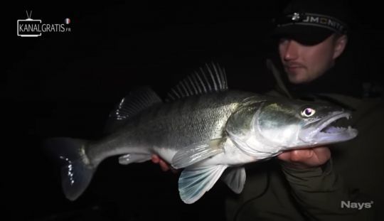 Avec la pleine lune, l'équipe Nays a trouvé des poissons actifs.