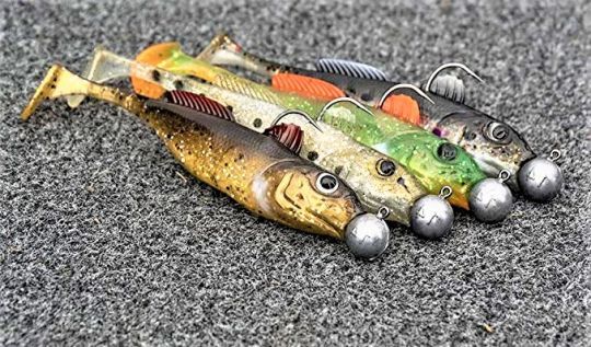 Les Goby nagent dès leur entrée dans l'eau 