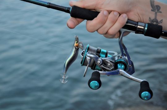 Un bas de ligne en fluorocarbone est préférable