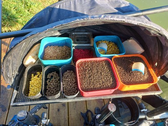 Un choix d'appât pour pêcher la carpe