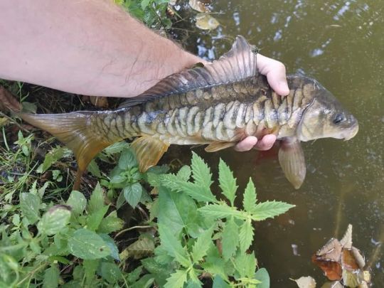 Les pêcheurs en mer, n'hésitez pas à tester l'eau douce et même les pêches aux appâts pour sortir de vos habitudes.