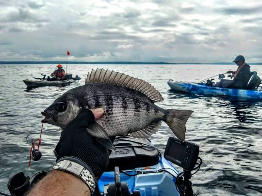 Différentes techniques de pêche en kayak