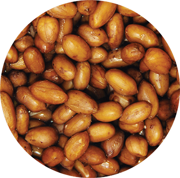 Cacahuètes préparées. A utiliser très rapidement et avec parcimonie.