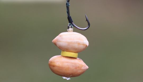 Cacahuètes équilibrées.