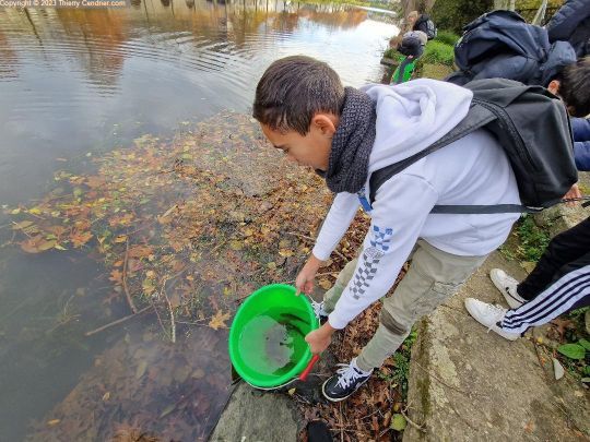 Toutes les prises sont remises à l'eau.