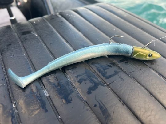 Voici l'état du leurre après la sortie et plus d'une quinzaine de poissons piqués.