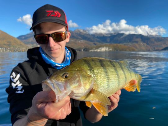 Perche à la nymphe sur le lac d'Annecy