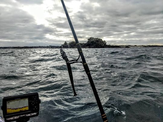 Sondeur et pêche du lieu au leurre souple