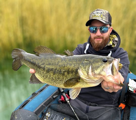 Tenter de pêcher tous les carnassiers