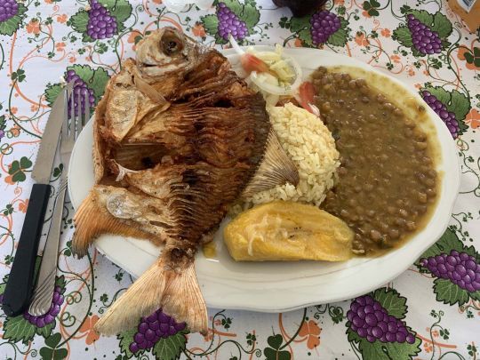 Exemple de repas servit sur le camp.