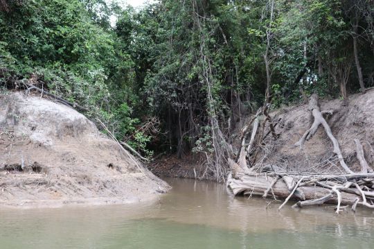 Entrée d'une lagune sur le rio Tomo.