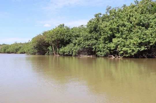 La couleur de l'eau des lagunes varie beaucoup.