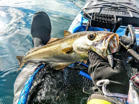 Le plaisir de pêcher en plein hiver