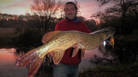 Bien souvent la végétation prolifère davanatge à l'intérieur du virage. C'est souvent un bon spot pour la pêche du brochet !