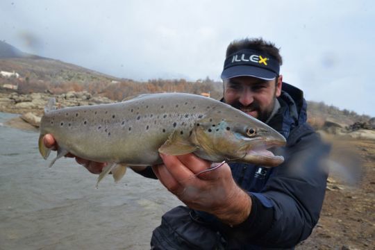 Des poissons de belles tailles et très massifs