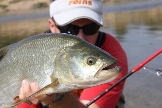 Prendre des gros plans met en valeur le poisson.