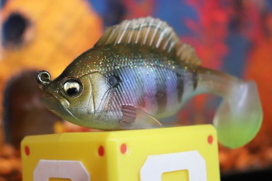 Le Megabass Sleeper Gill est facile d'utilisation.