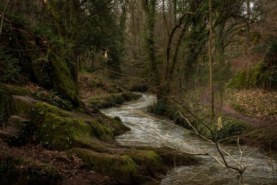 Un poisson nageur pour pêcher la truite