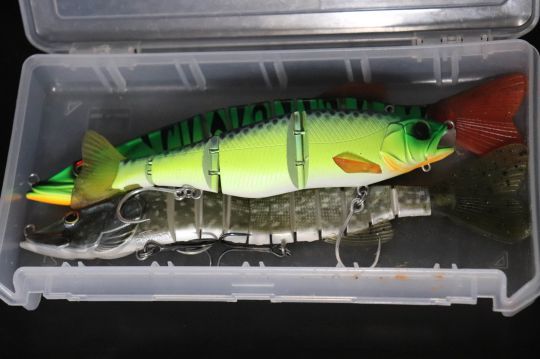 Il faut éviter le contact entre les queues des hard swimbaits.