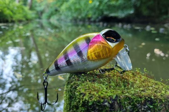 Tyran de Digital Squad Fishing, un wakebait efficace