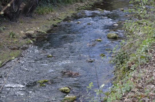 De nombreuses rivières sont touchées