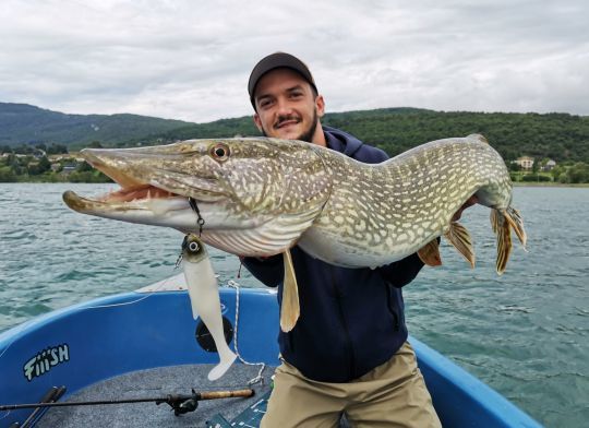 Chercher le poisson en fonction des conditions