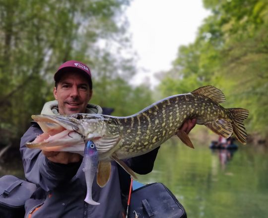 Un joli poisson leurré grâce au Blaster Shad