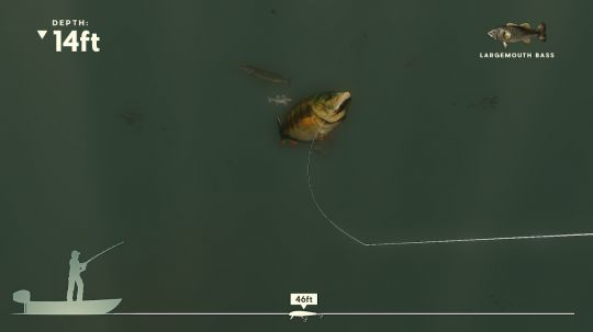 Voir des poissons, même virtuels, est toujours plaisant.
