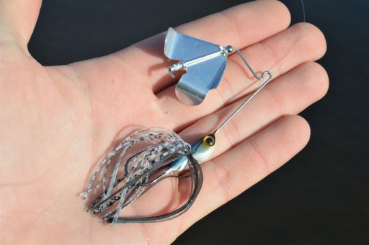 Le buzzbait ressemble au spinnerbait mais se destine aux pêches de surface