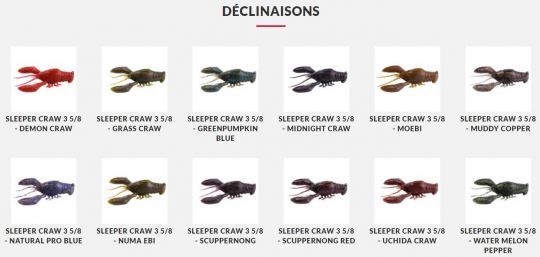 12 couleurs sont disponibles.