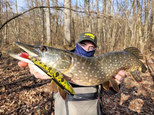Un joli brochet pris sur un Statam 190S 