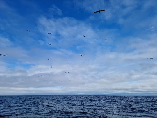 Il est ilmportant d'être attentif et d'observer les signes d'activité pour ne pas passer à côté de la pêche