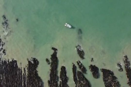 Les pointes de roche se pêchent du bord comme en bateau