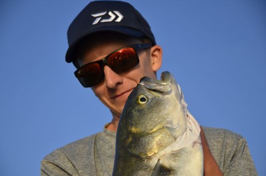 Leurre de surface et poissons aux dents aiguisées