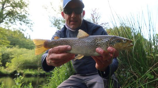 Superbe truite de 40 cm. Une grosse pour les eaux bretonnes