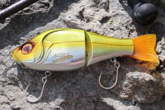 L'or est une bonne couleur pour le brochet.