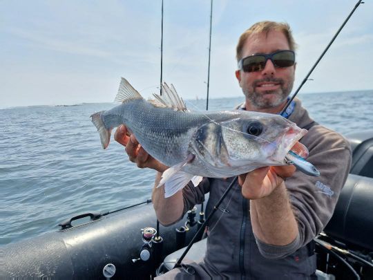 Sur des poissons actifs et des zones peu profondes, une récupération linéaire à profondeur constante fonctionne à merveille.