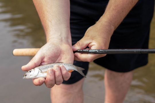 Le tenkara, une pêche facile