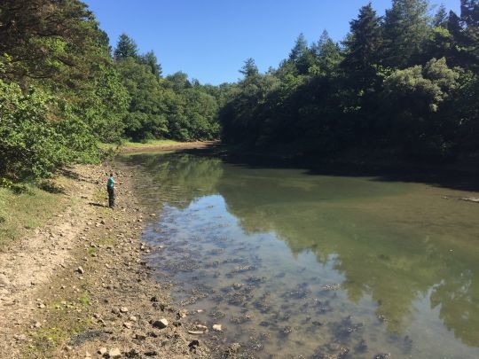 Pêche du mulet en estuaire en Bretagne