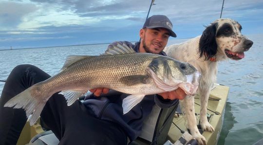 Toujours accompagné de son fidèle setter