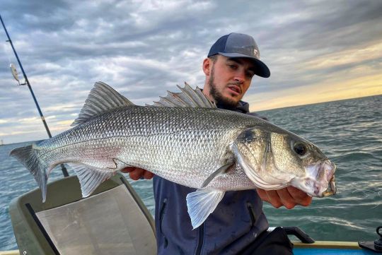 Passionné de pêche au bar aux leurres