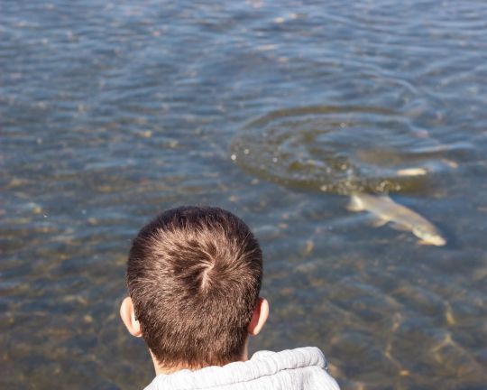 Pêcher l'aspe en Alsace