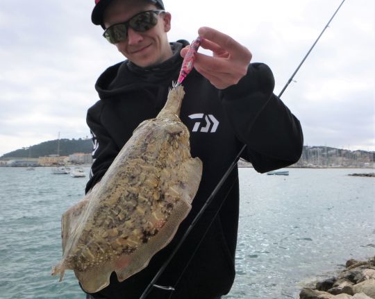 Choisir une tresse 3 ou 4 brins pour pêcher en bichi bachi