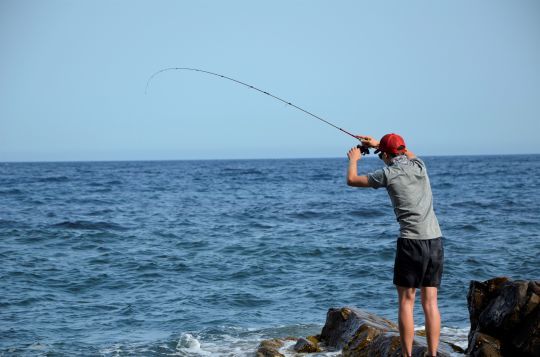 Pêcher avec une canne à action rapide